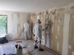 Best Asbestos and Lead Testing During Mold Inspection  in Gruetli Laager, TN